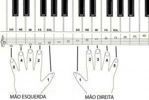 Finger numbering for both hands